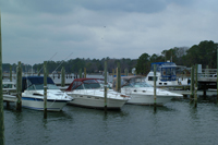 marina