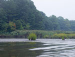 delaware bay shoreline inventory