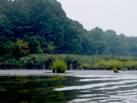 delaware shoreline