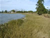 Medium Energy Marsh Toe After