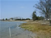 Medium Energy Marsh Toe Before