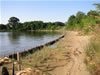 Planted Marsh Before