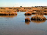 Poquoson Flats