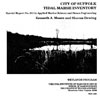 tidal marsh inventory cover