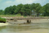 retreating shoreline