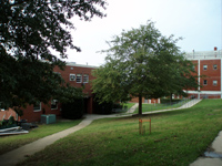 View of area to be redeveloped