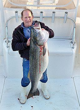 Virginia striped bass record