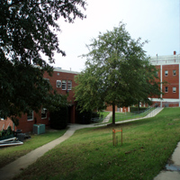 davis hall