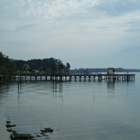 oyster pier