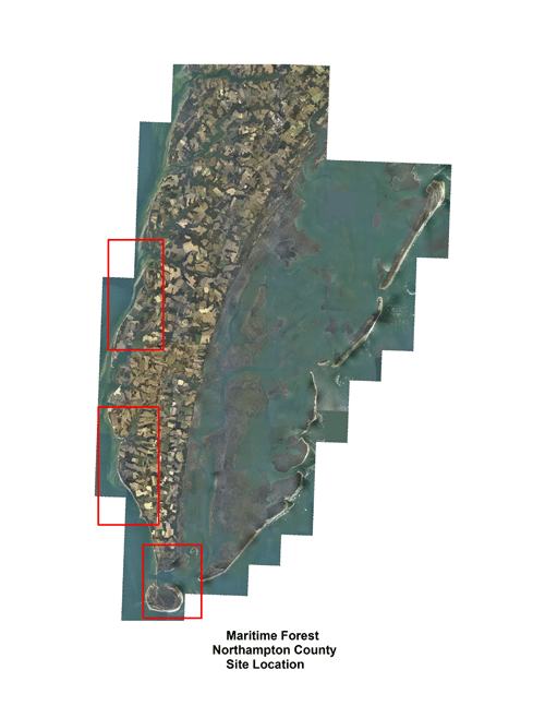 Northampton Site Location