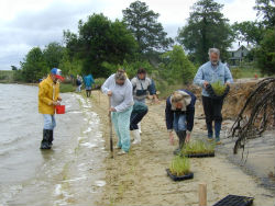 Marsh Management Project Living Shorelines