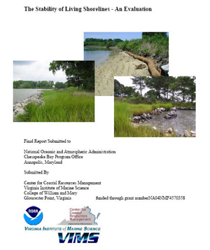 shorelines project cover