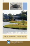 Living Shorelines for Chesapeake Bay