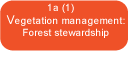 Enhance the existing forest condition by selectively removing dead, dying and severely leaning trees, pruning branches with weight bearing load over the water, planting mid-story and ground cover vegetation, controlling invasive upland species introduced by previous clearing.