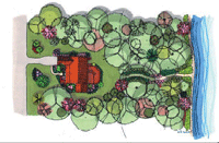 Riparian buffers manual