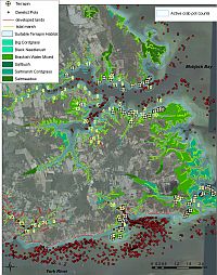 York and Severn River habitat