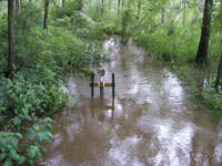 Stream Gauge