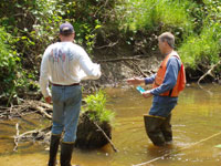 Stream analysis photo